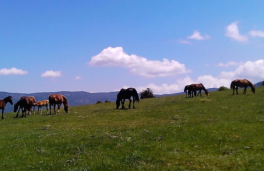 B&B Il Ghiro-Country House-1